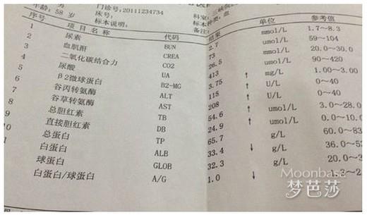 总胆红素偏高怎么办