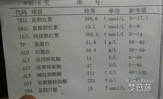 总胆红素偏高怎么办