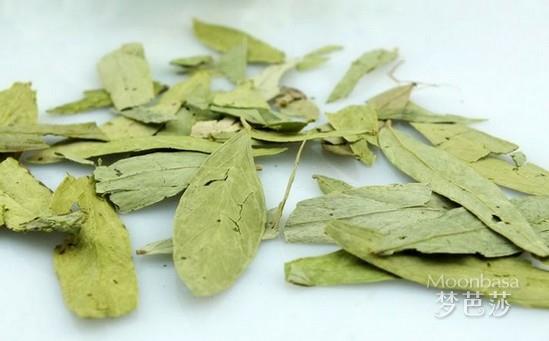 番泻叶的作用