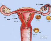 子宫内膜厚度多少正常？为何子宫内膜薄不能怀孕？